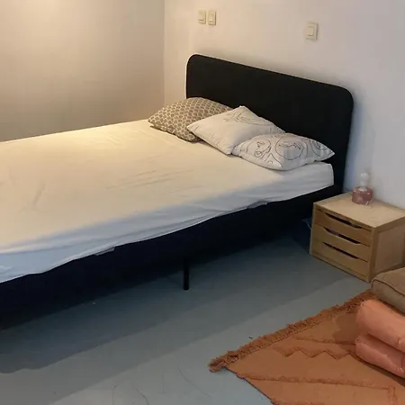 Pool Studio, Terrace, Garden Apartman